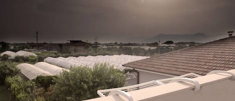 House, 2 Bedrooms, Terrace, Garden View