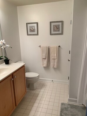 Combined shower/tub, towels, soap, toilet paper