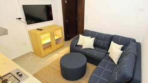 Un salon comprenant un canapé, un pouf, un téléviseur et un meuble en bois.