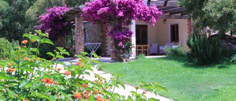 House, 2 Bedrooms, Accessible, Patio | Terrace/patio