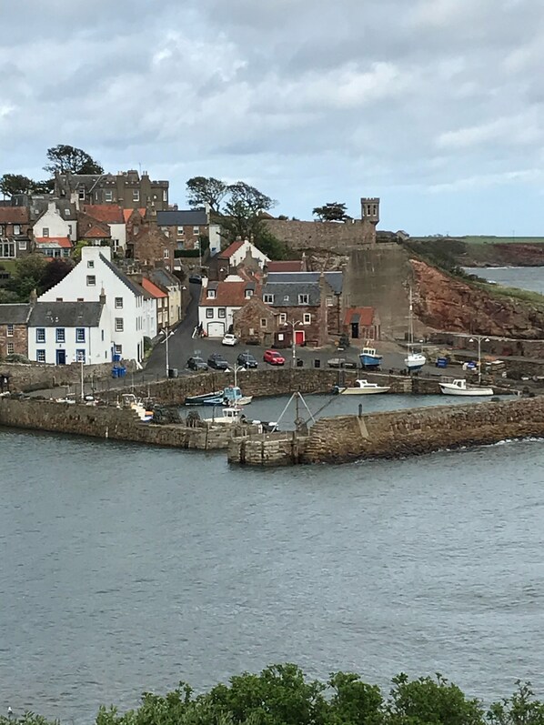 Marina - Peaceful studio, quirky and unique in a large garden. near beaches,golf courses. (Kilrenny)