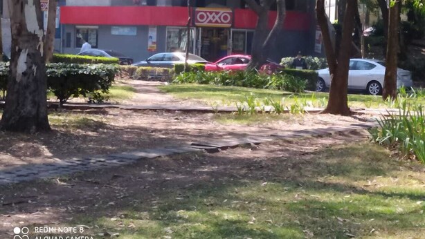 Un camino que lleva a un edificio con un letrero rojo y blanco, rodeado de árboles y coches estacionados.