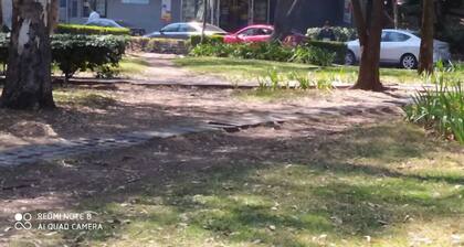 Colegio Militar, Habitación a 10min, por Legaria