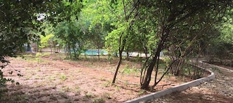 Magamba Hills Lodge