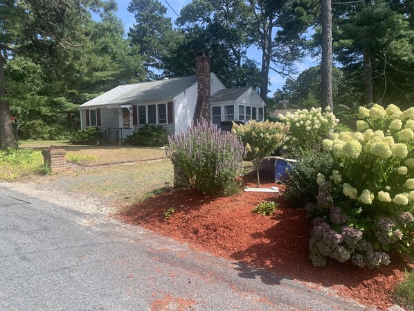 A house with a brick chimney, surrounded by a garden with various plants and a blue boat.