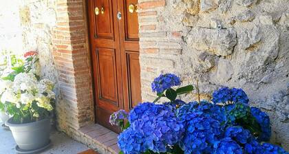 Amazing Valnerina in an hidden area of Umbria