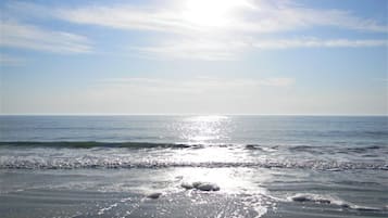 On the beach