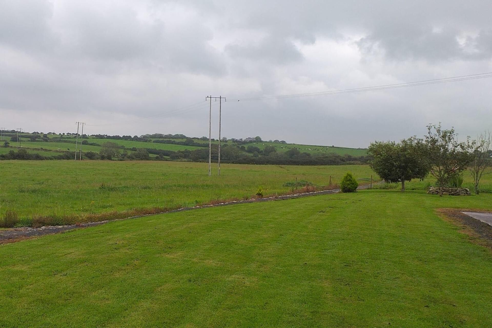 Een landelijk landschap met een grasveld, een kleine boom en elektriciteitsleidingen in de verte.