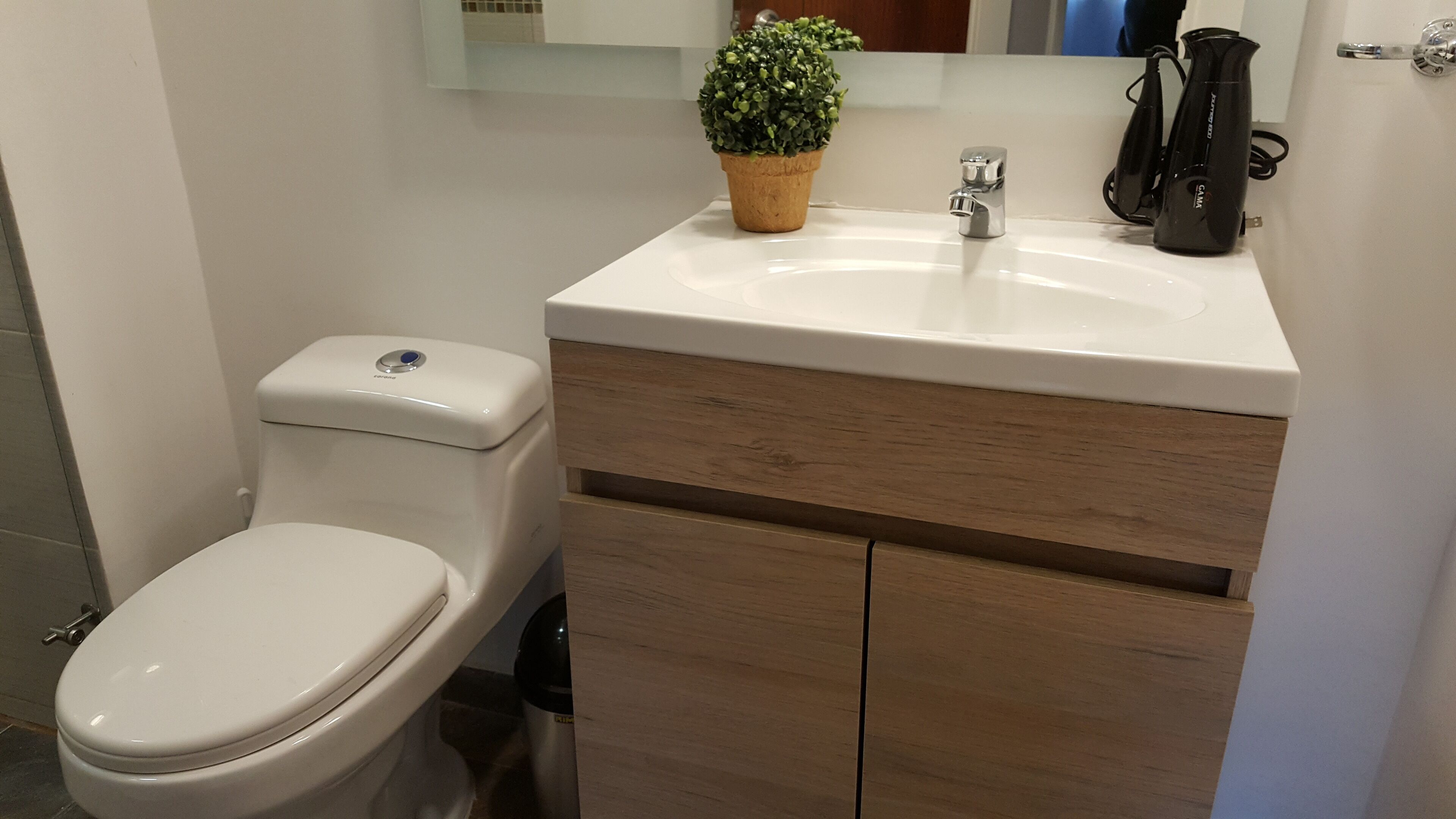 Ein Badezimmer mit einer weißen Toilette, einem Waschbecken mit Spiegel darüber und einer kleinen Topfpflanze auf dem Waschbecken.