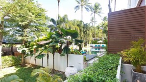 Un jardin luxuriant, avec des palmiers et un espace piscine.