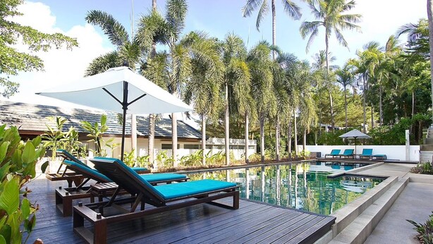 Un espace aménagé au bord de la piscine, avec des chaises longues et des parasols, entouré de palmiers.