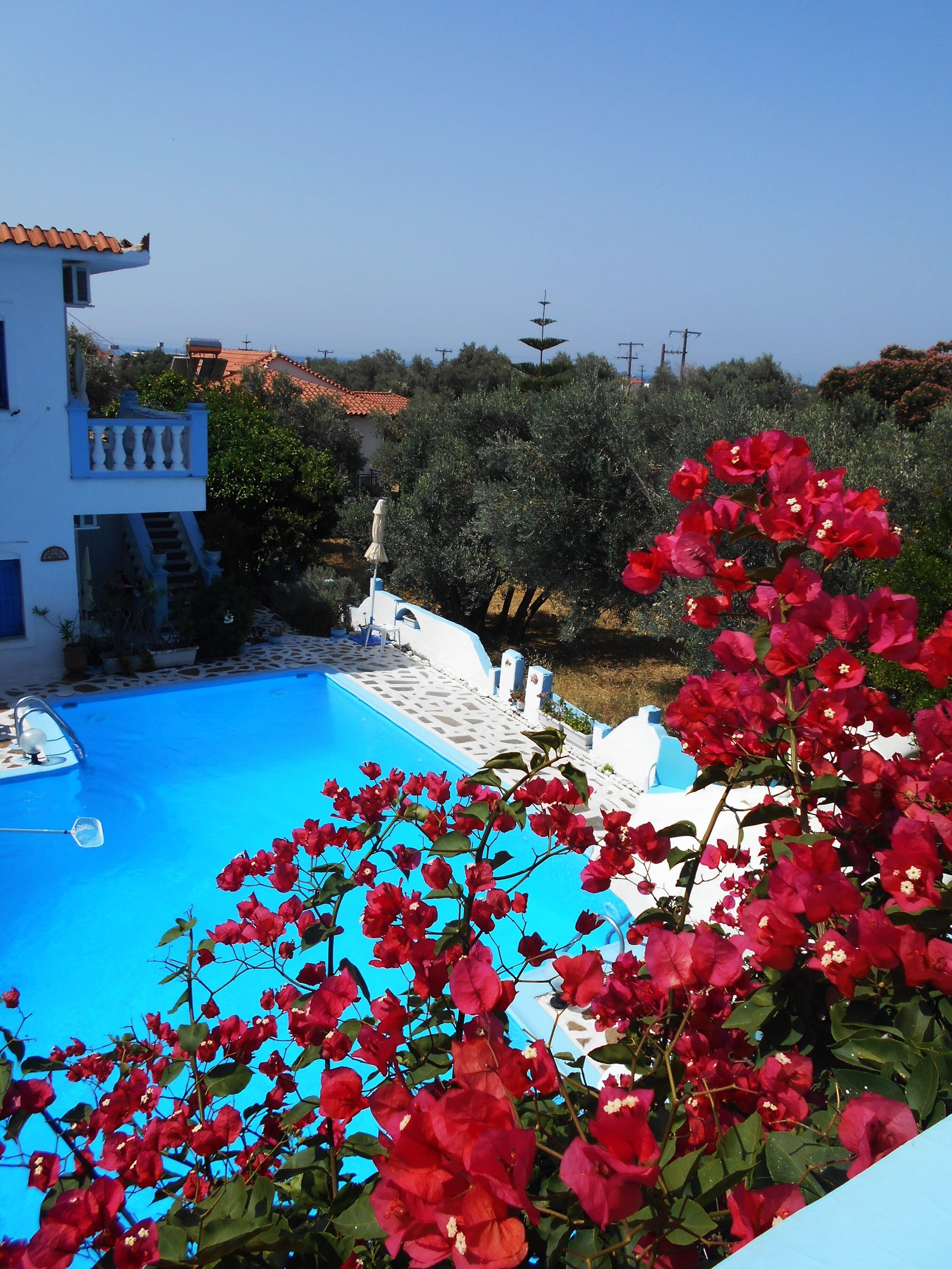 Apartment, 1 Bedroom, Balcony, Garden View | Balcony