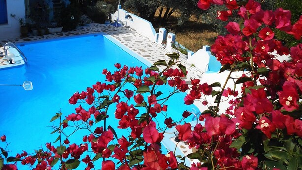 Apartment, 1 Bedroom, Balcony, Garden View | Balcony