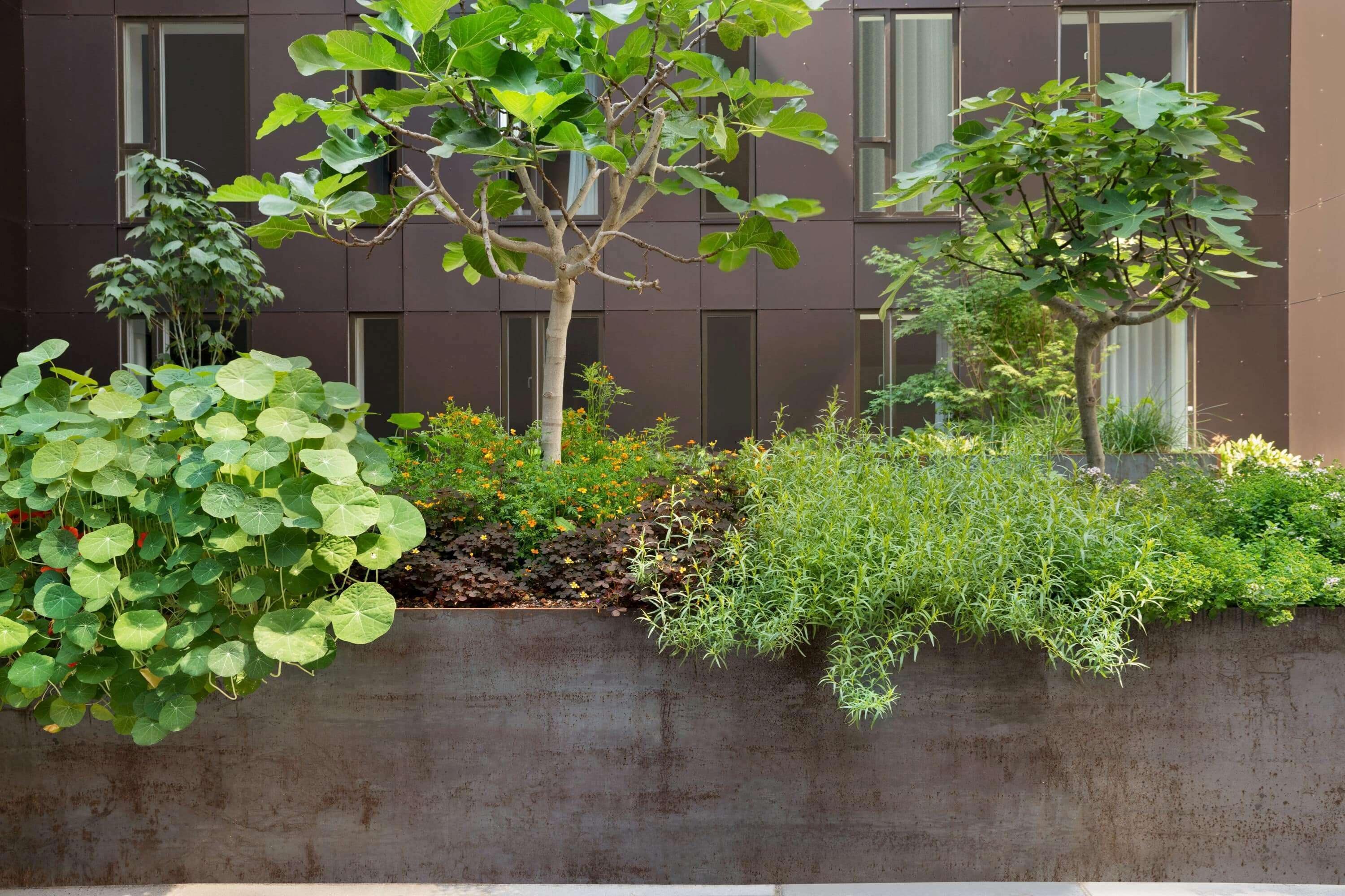 breakfast, lunch and dinner served