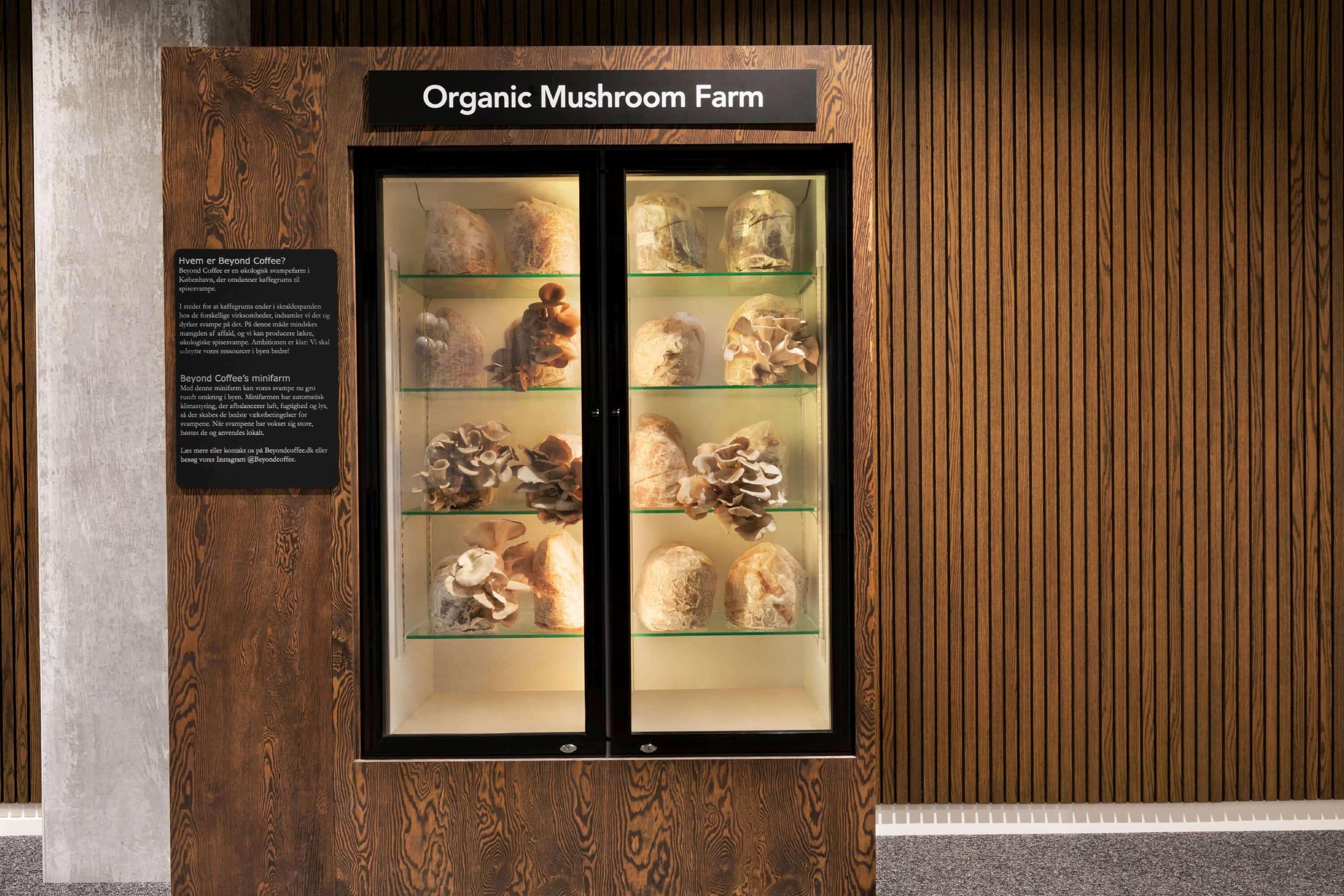 A display case labeled "Organic Mushroom Farm" with various mushrooms on display.