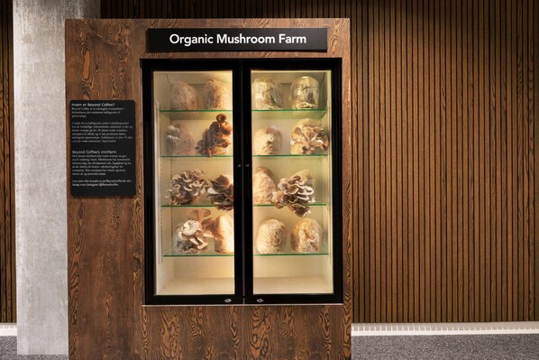 Una vitrina con la etiqueta “Granja de Hongos Orgánicos” que exhibe varias especies de hongos.