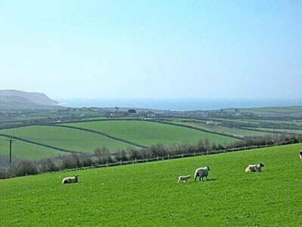 Paisaje rural con campos verdes, algunas ovejas y colinas al fondo.