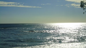 Cabin, 1 Bedroom, Balcony, Ocean View | Beach