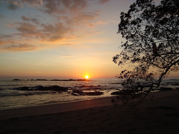 Cabin, 1 Bedroom, Balcony, Ocean View | Beach
