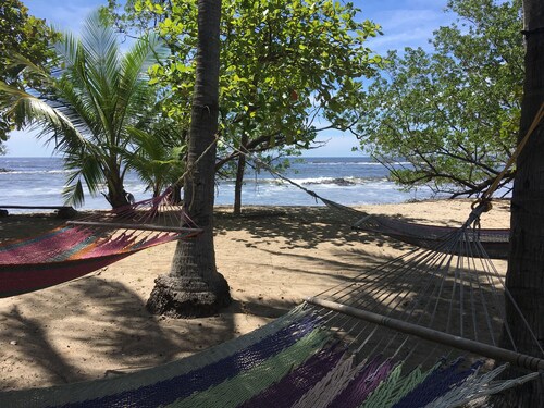 You Imagine Costa Rica Our Location Being on the Beach is What You Imagine