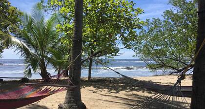 You Imagine Costa Rica Our Location Being on the Beach is What You Imagine