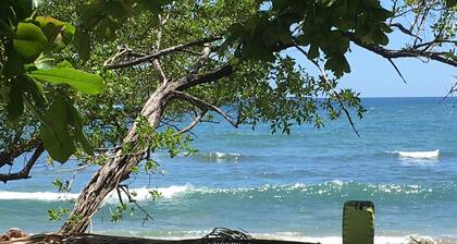 You Imagine Costa Rica Our Location Being on the Beach is What You Imagine