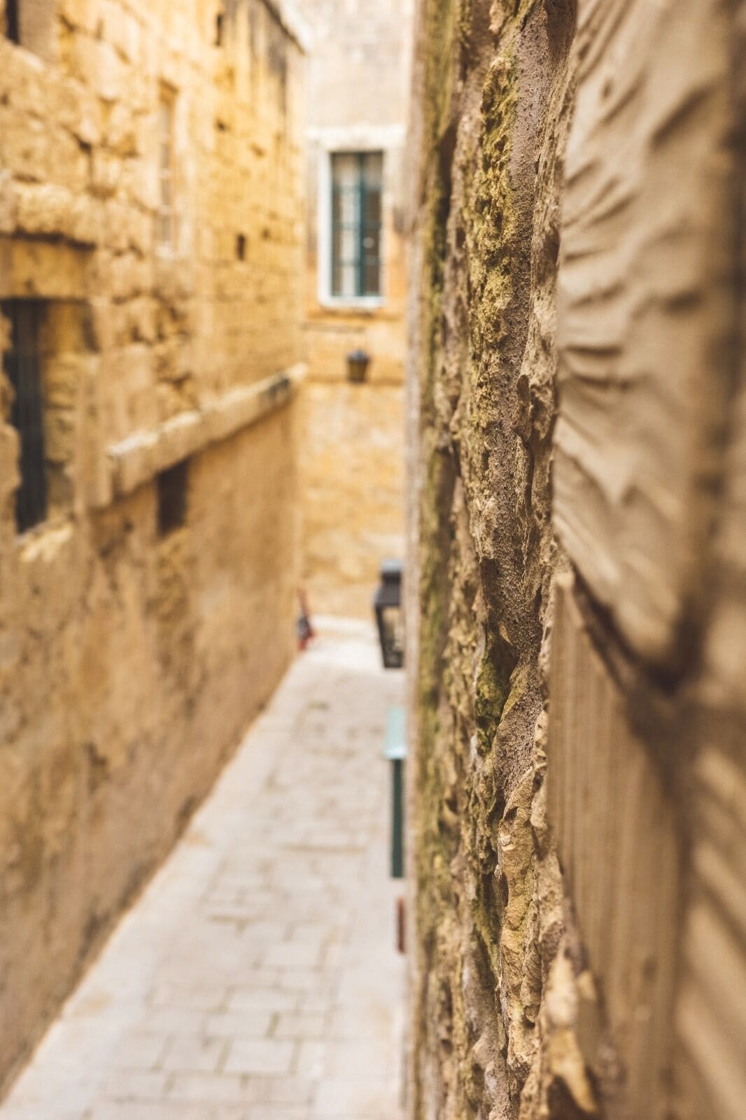 Foto - Palazzo Bifora