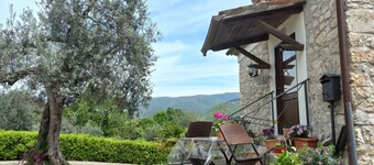 Stone farmhouse amidst greenery, secolar olive trees and privacy that reigns supreme 