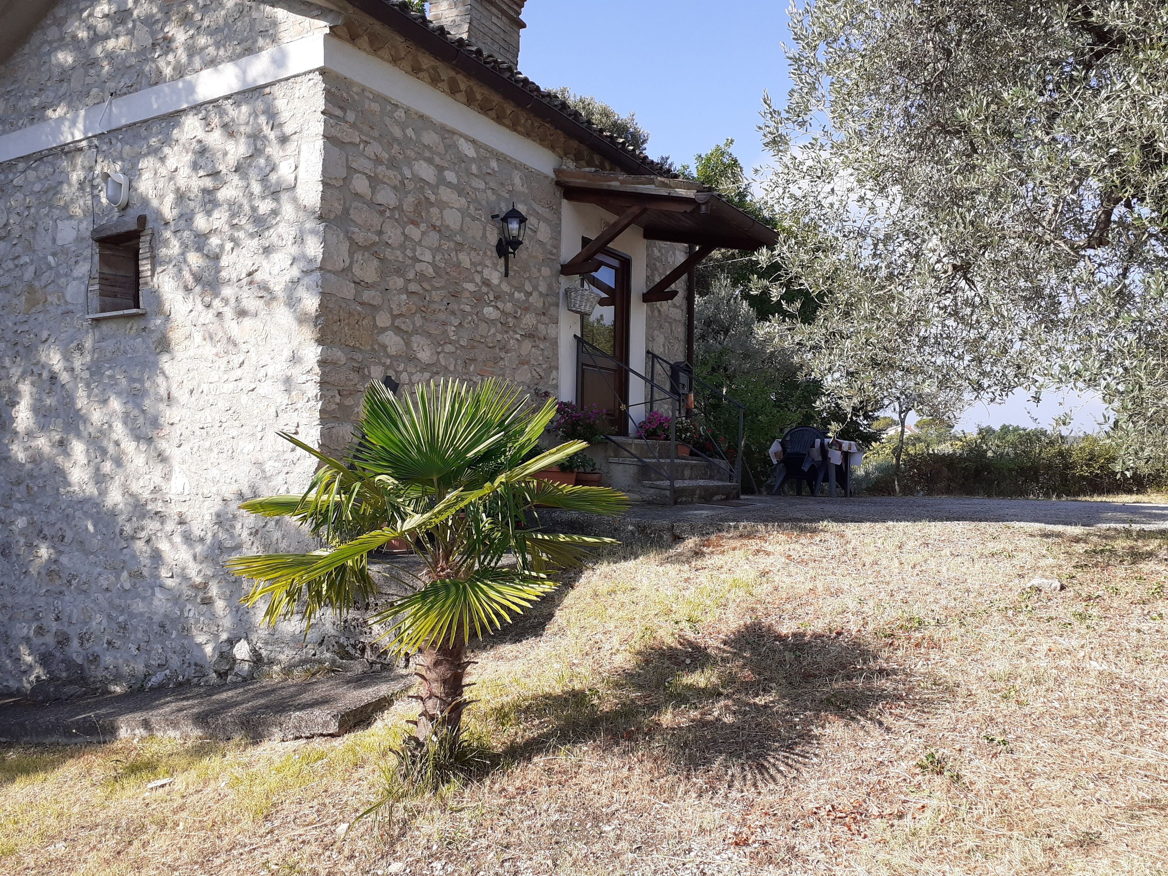 A stone building with a porch, a palm tree, and a large tree with dense foliage.