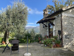 Property grounds - Stone farmhouse amidst greenery, secolar olive trees and privacy that reigns supreme  (Vacone)