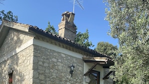A stone building with a tiled roof, a chimney, and a small window. There are potted plants and a palm tree in the front yard.