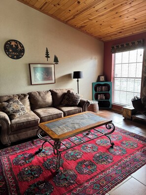 Smart TV, caminetto, lettore DVD, videoteca