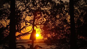 Une vue au coucher du soleil, avec les silhouettes d’arbres et une plage.