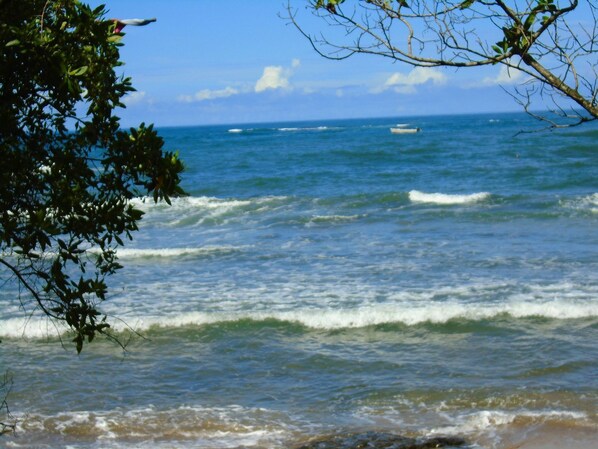 Enjoy a tranquil beach experience with ocean views and access to boating activities.