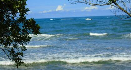Rita Sonny Tropical Surf Cabina