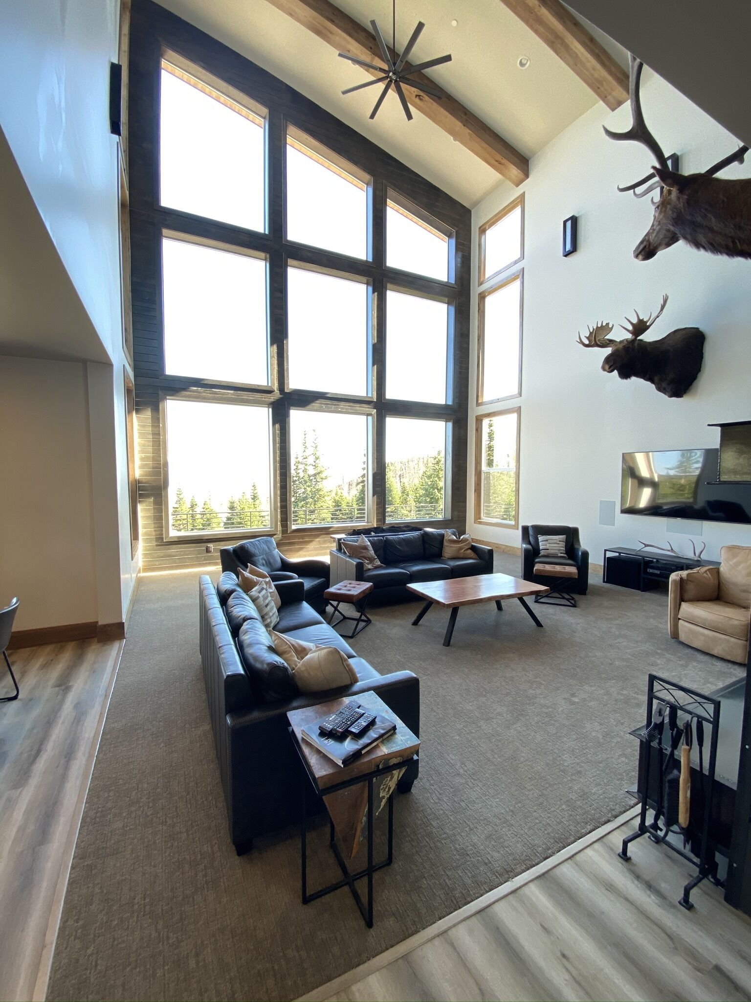 智能電視、壁爐、DVD 播放機、乒乓球設施