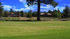 Un terrain de golf avec un étang, un grand arbre et deux bâtiments en arrière-plan.