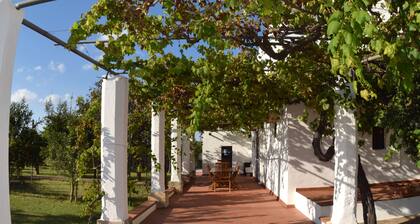 La Giara House ,near Gallipoli