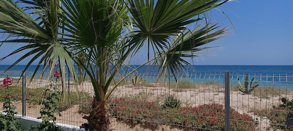 A beach view with a palm tree and red flowers in the foreground, a sandy beach, and the ocean in the background.