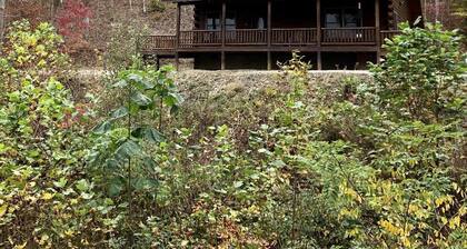 Gorgeous, tree top views from this cabin