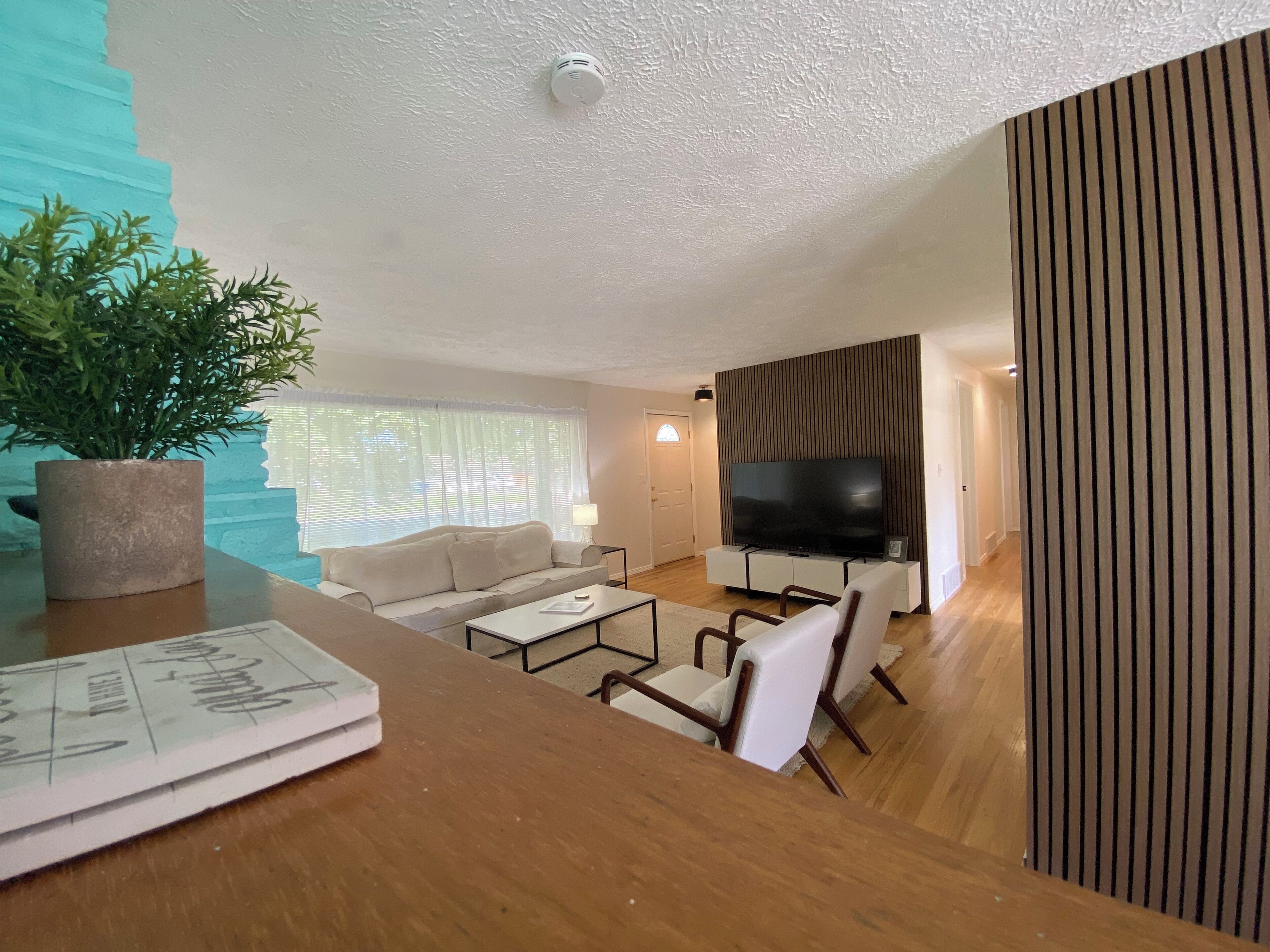 Smart TV, fireplace, video games, books