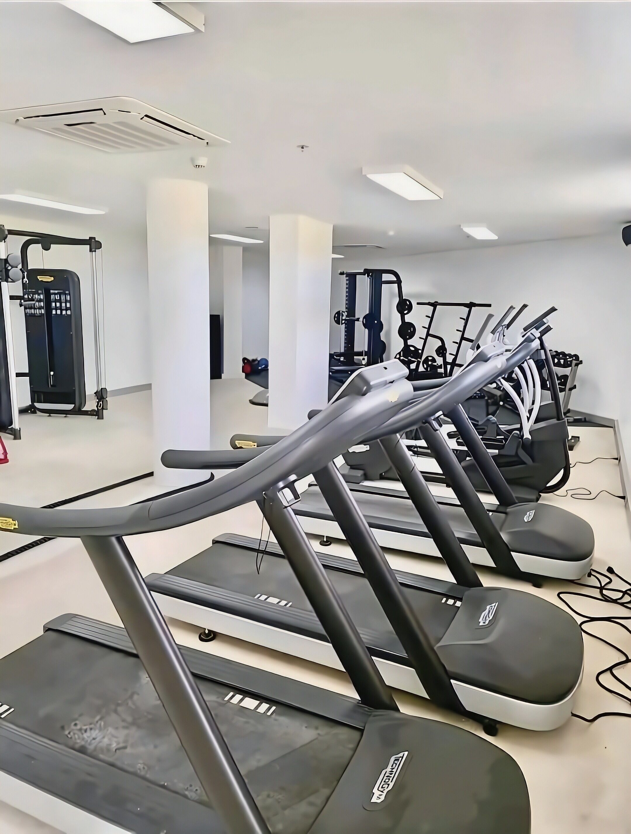 A gym with multiple treadmills, weight machines, and exercise balls.