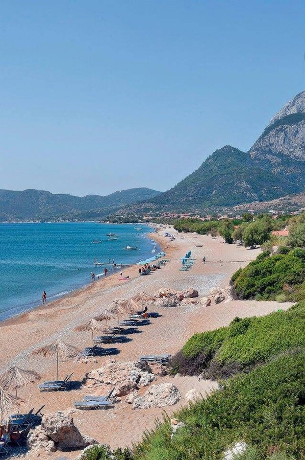 Apartamento, 1 habitación, patio, vistas al jardín | Playa