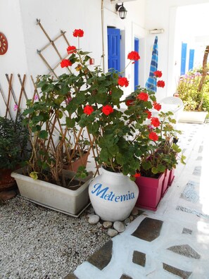Appartement, 1 chambre, patio, vue sur le jardin | Balcon