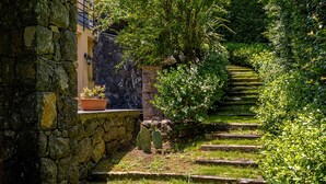 Una escalera de piedra que sube hacia un edificio, con una planta en maceta a la izquierda.