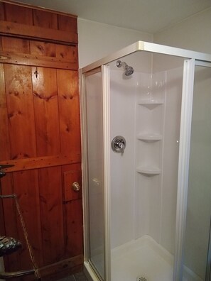 Shower, towels, soap, toilet paper - 2-Bedroom Cabin - Otsego Lake (Gaylord)
