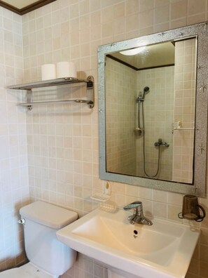 A bathroom with a toilet, a sink, a mirror, and a shower.
