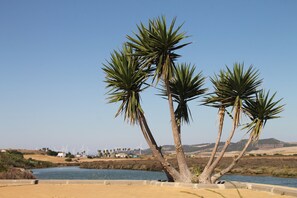 A coastal landscape with palm trees, a body of water, and wind turbines in the distance.