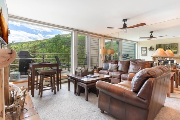 Flat-screen TV, fireplace, DVD player