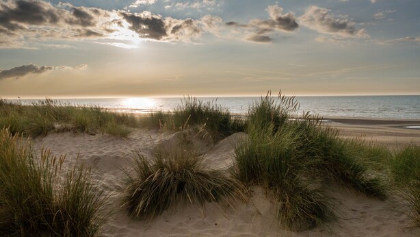Ein Strand mit Dünen und Gras.